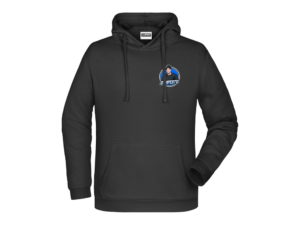 DumpexTV Hoodie - Lille Logo
